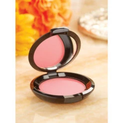Cheapest ❤️ Tangee Blush Compact 🛒